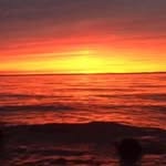 Noah Falck - @noahpfalck - Instagram