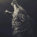 Noah Farris - @fancy_potatoe01 - Instagram