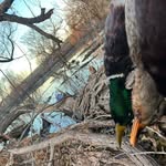 Noah Farris - @lockedup_outdoors69420 - Instagram