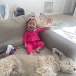 Noah Feldman - Facebook