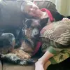 noah - @i.noah.fella - TikTok