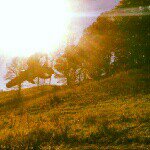 Noah Finley - @suzuki_450_man - Instagram