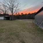 Noah Fitzgerald - Facebook