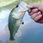 Noah Fleming - @_noah.fleming_ - Instagram