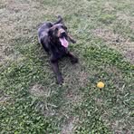 Noah Flippo - Facebook
