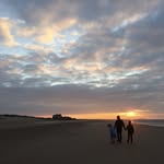 P O L L Y - @noahfolk_to_norfolk - Instagram
