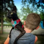 Noah Forrest - Facebook