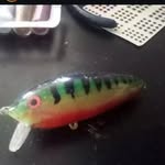 Noah Frey - @noah_baits - Instagram