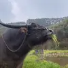 NoahFreyy - @noah.freyy - TikTok