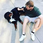 Noah Fried - @fried_noah - Instagram