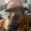 Noah - @noahfried06 - TikTok
