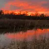 noah.friends - @noah.friends1 - TikTok