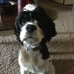 Noah Fulton - @i.build.arks - Instagram