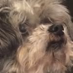 Noah Garner - @ya_boi_noah_g - Instagram