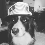 ITS DIMAND - @noah_gerhardt - Instagram