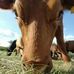 Noah Gerhardt - Facebook