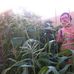 Noah Gerhardt - Facebook