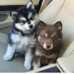 noah gerhardt - @noah.gerhardt2002 - Instagram