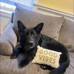 Noah Goodrich - @ncgood150 - Instagram