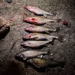 Noah Grusberg - Facebook
