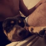 Noah Guinn - @ntguinn05 - Instagram