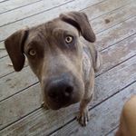 Noah L. Hammond - @noah.hammond9 - Instagram