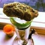 Noah Hamrick - @funkmastahkush - Instagram