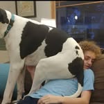 noah hanscom - @noahahanscom - Instagram