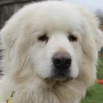 @noah_herbert_5656 - Instagram