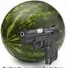 Noah Hester - @warcrimewatermelon - TikTok