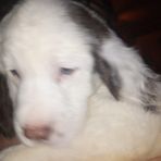 Noah Hickman - Facebook