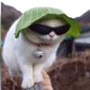 Noah Holden - @noah.holden05 - TikTok