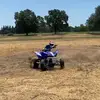 Noa_holtz71 - @noa_holtz71 - TikTok