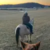noahhornbeck - @noahhornbeck - TikTok