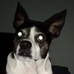 noah houck - @noah_houck234 - Instagram