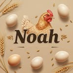 Huevos Noah Avicola - Facebook