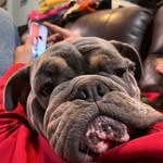 Noah Hovis - @noahhovis34 - Instagram