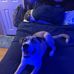 Noah Hudson - Facebook