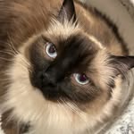 Noah Hurley - @noah_hurley42 - Instagram