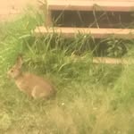 Noah Whyte - @noah.whyte.5661 - Instagram