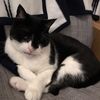 noah.irwinn - @noah.irwinn - TikTok
