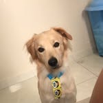 Noah Jacob Souza Dos Santos - @noah_jenner13 - Instagram