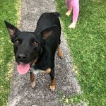 Noah.johnston - @noz_johnston - Instagram