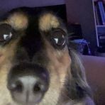 Noah Joyce - Facebook