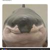 Noah Kerns - @nkerns78 - TikTok