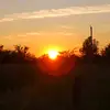 Noah - @noahlabonte905 - TikTok