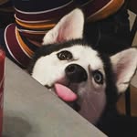 Noah LaValley - @noalavalley - Instagram