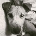 noah lear - @noahlear2811 - Instagram