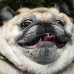 noah lear - @noahlear9936 - Instagram