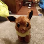 Noah learn - @noah.learn - Instagram